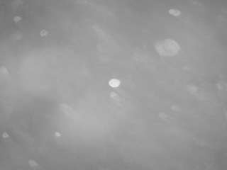 voyeurcam-casa-salsa-pool-1 Profile Image