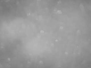 voyeurcam-casa-salsa-pool-1