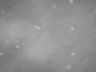 voyeurcam-casa-salsa-pool-1 Profile Image