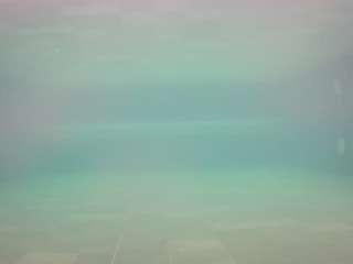 voyeurcam-casa-salsa-pool-1