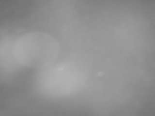 voyeurcam-casa-salsa-pool-1