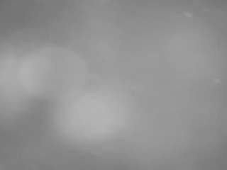 voyeurcam-casa-salsa-pool-1