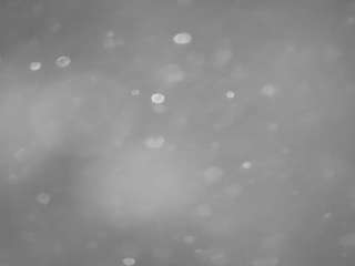 voyeurcam-casa-salsa-pool-1