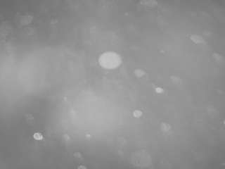 voyeurcam-casa-salsa-pool-1