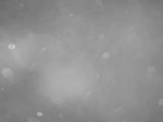 voyeurcam-casa-salsa-pool-1