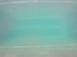 voyeurcam-casa-salsa-pool-1