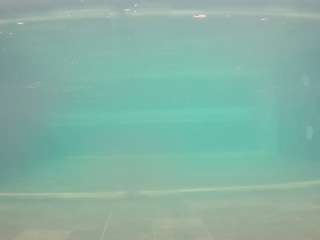 voyeurcam-casa-salsa-pool-1