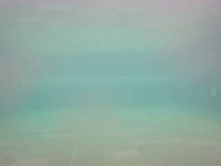 voyeurcam-casa-salsa-pool-1