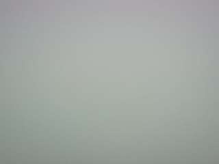 voyeurcam-casa-salsa-pool-1