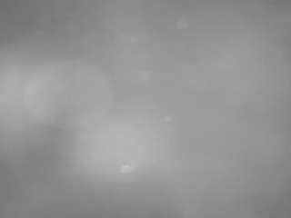 voyeurcam-casa-salsa-pool-1