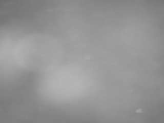 voyeurcam-casa-salsa-pool-1