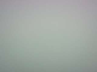 voyeurcam-casa-salsa-pool-1