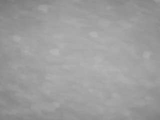 voyeurcam-casa-salsa-pool-1