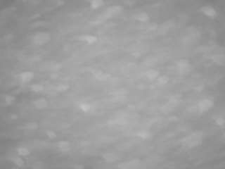 voyeurcam-casa-salsa-pool-1