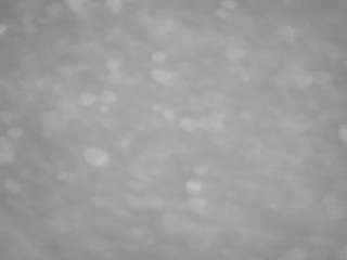 voyeurcam-casa-salsa-pool-1