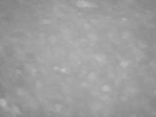 voyeurcam-casa-salsa-pool-1