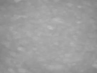 voyeurcam-casa-salsa-pool-1