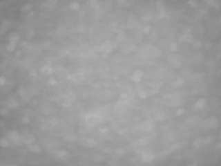 voyeurcam-casa-salsa-pool-1