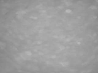 voyeurcam-casa-salsa-pool-1