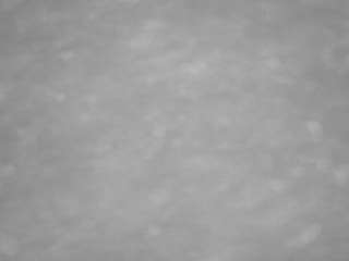 voyeurcam-casa-salsa-pool-1