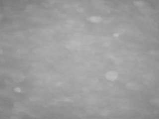 voyeurcam-casa-salsa-pool-1