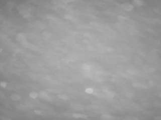 voyeurcam-casa-salsa-pool-1