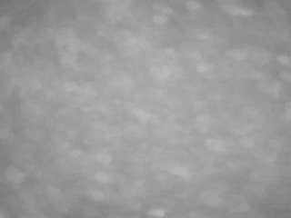 voyeurcam-casa-salsa-pool-1