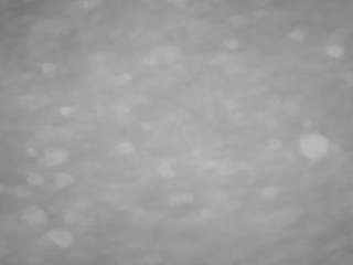 voyeurcam-casa-salsa-pool-1