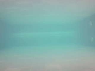 voyeurcam-casa-salsa-pool-1