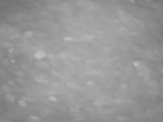 voyeurcam casa salsa pool 1