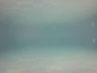 voyeurcam-casa-salsa-pool-1