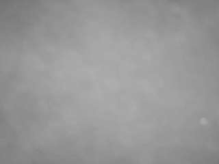 voyeurcam casa salsa pool 1