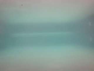 voyeurcam-casa-salsa-pool-1