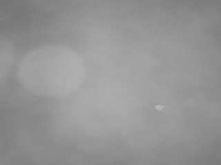 voyeurcam-casa-salsa-pool-1