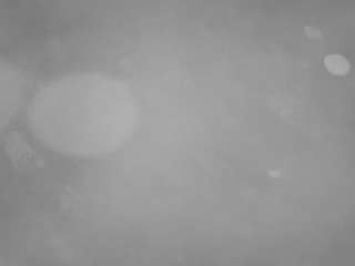 voyeurcam-casa-salsa-pool-1