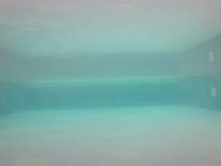 voyeurcam-casa-salsa-pool-1