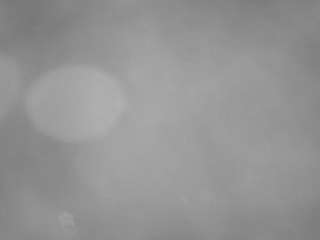 voyeurcam casa salsa pool 1