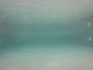 voyeurcam casa salsa pool 1