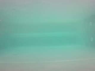 voyeurcam-casa-salsa-pool-1