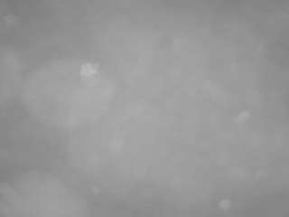 voyeurcam-casa-salsa-pool-1