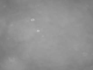 voyeurcam-casa-salsa-pool-1 Live Webcam on CamSoda