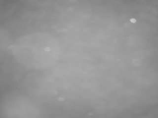 voyeurcam-casa-salsa-pool-1