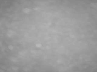 voyeurcam-casa-salsa-pool-1