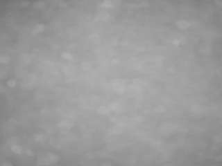 voyeurcam-casa-salsa-pool-1