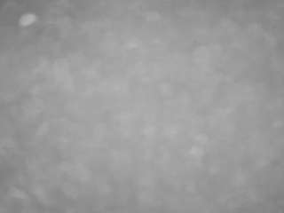 voyeurcam-casa-salsa-pool-1