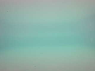 voyeurcam casa salsa pool 1