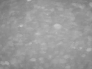 voyeurcam-casa-salsa-pool-1