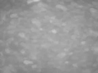 voyeurcam-casa-salsa-pool-1