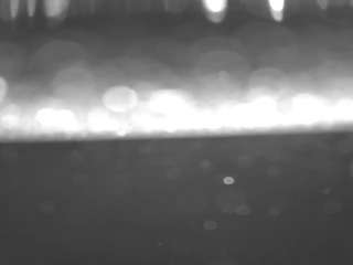 voyeurcam casa salsa pool 1