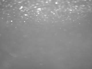 voyeurcam-casa-salsa-pool-1 webcam